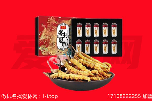 石门县回收虫草.jpg